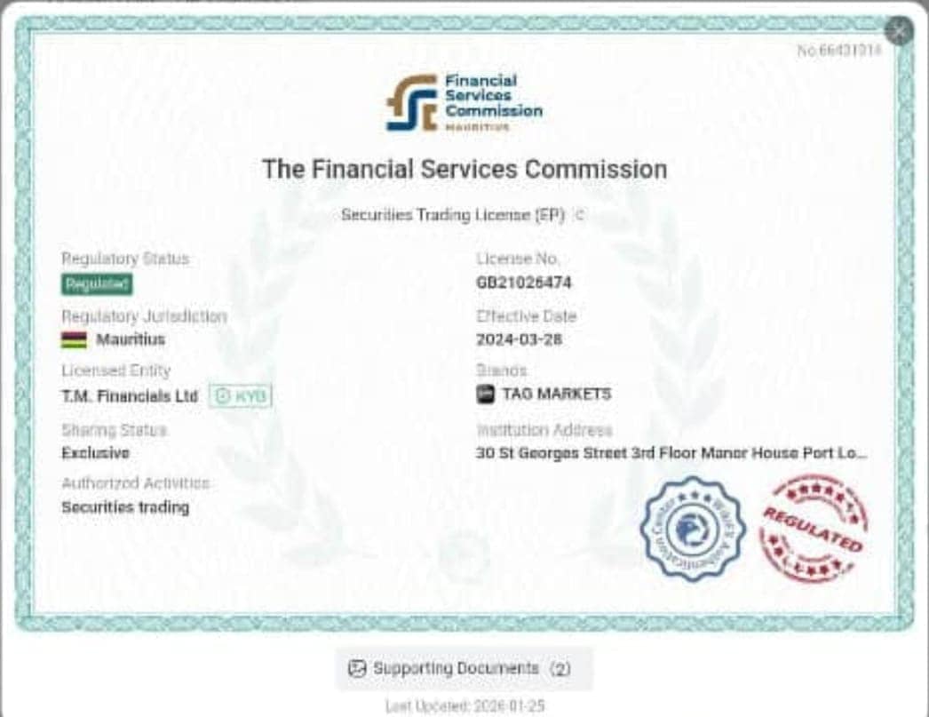 Tag Markets licence certificate showing Financial Services Commission of Mauritius details for T.M. Financials Ltd
